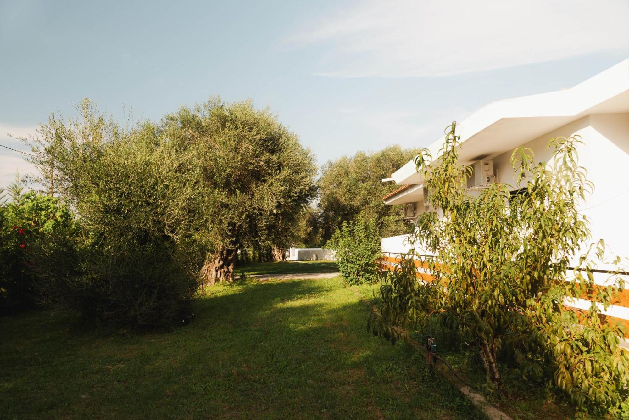 Olive Grove Suites Boutique Hotel Moraitika Eksteriør billede