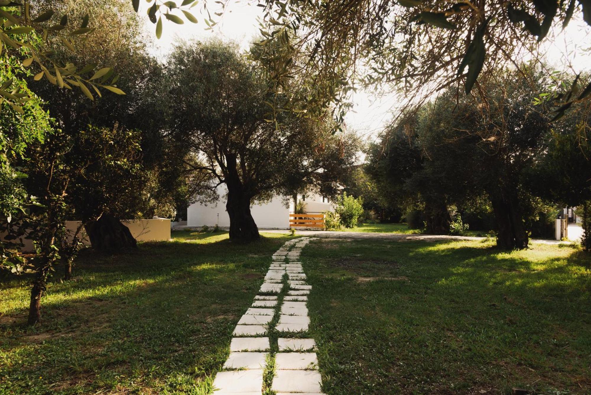 Olive Grove Suites Boutique Hotel Moraitika Eksteriør billede