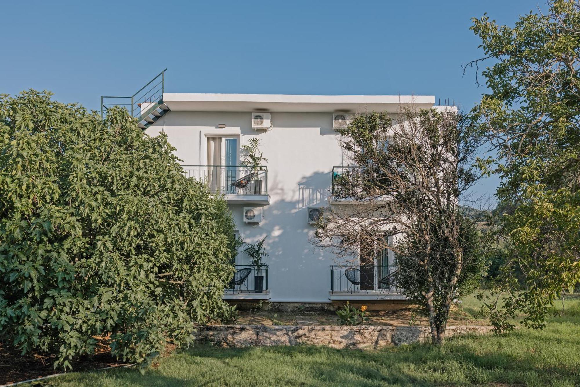 Olive Grove Suites Boutique Hotel Moraitika Eksteriør billede